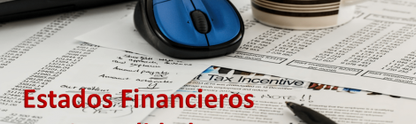 AUDITORÍA DE ESTADOS FINANCIEROS CONSOLIDADOS