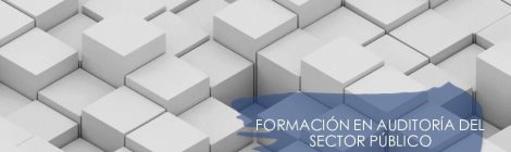FORMACIÓN EN AUDITORÍA DEL SECTOR PÚBLICO