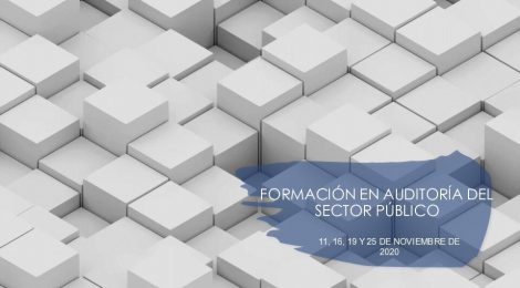 FORMACIÓN EN AUDITORÍA DEL SECTOR PÚBLICO