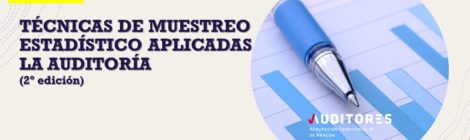 TÉCNICAS DE MUESTREO ESTADÍSTICO APLICADAS A LA AUDITORÍA (2º edición)
