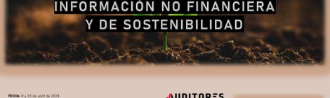 INFORMACIÓN NO FINANCIERA Y DE SOSTENIBILIDAD