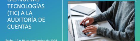 APLICACIÓN DE LAS NUEVAS TECNOLOGÍAS (TIC) A LA AUDITORIA DE CUENTAS