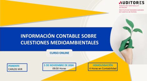 INFORMACIÓN CONTABLE SOBRE CUESTIONES MEDIOAMBIENTALES