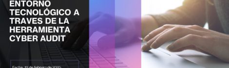 EVALUACIÓN DEL ENTORNO TECNOLÓGICO A TRAVES DE LA HERRAMIENTA CYBER AUDIT