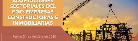 ADAPTACIONES SECTORIALES DEL PGC: EMPRESAS CONSTRUCTORAS E INMOBILIARIAS