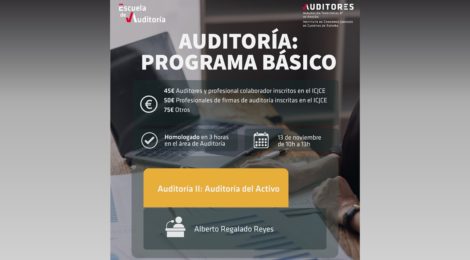 AUDITORIA II: AUDITORÍA DEL ACTIVO