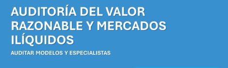 AUDITORÍA DEL VALOR RAZONABLE Y MERCADOS ILÍQUIDOS: AUDITAR MODELOS Y ESPECIALISTAS