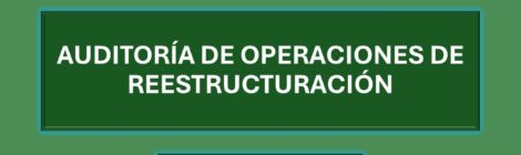 AUDITORÍA DE OPERACIONES DE REESTRUCTURACIÓN