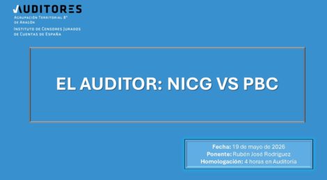 EL AUDITOR: NICG VS PBC