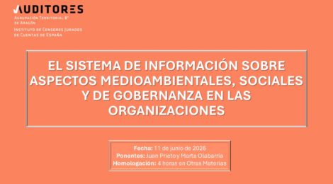 EL SISTEMA DE INFORMACIÓN SOBRE ASPECTOS MEDIOAMBIENTALES, SOCIALES Y DE GOBERNANZA EN LAS ORGANIZACIONES