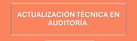 ACTUALIZACIÓN TÉCNICA EN AUDITORÍA